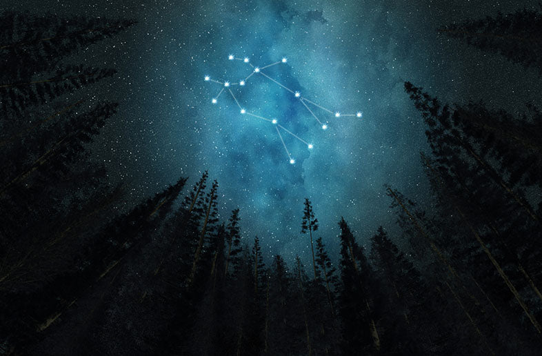 gemini constellation in sky